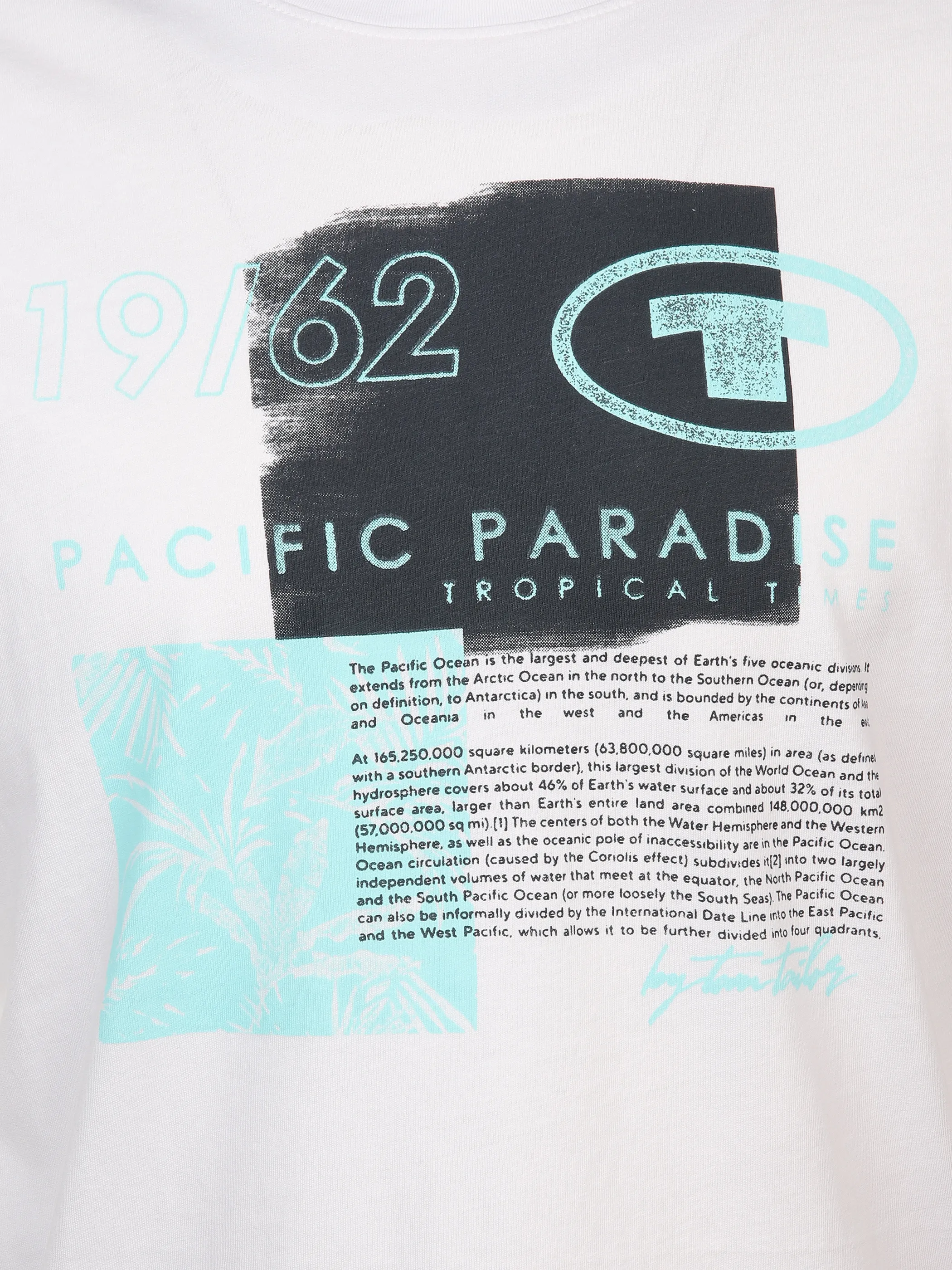 Tom Tailor 1041857 printed t-shirt Weiß 895642 20000 3