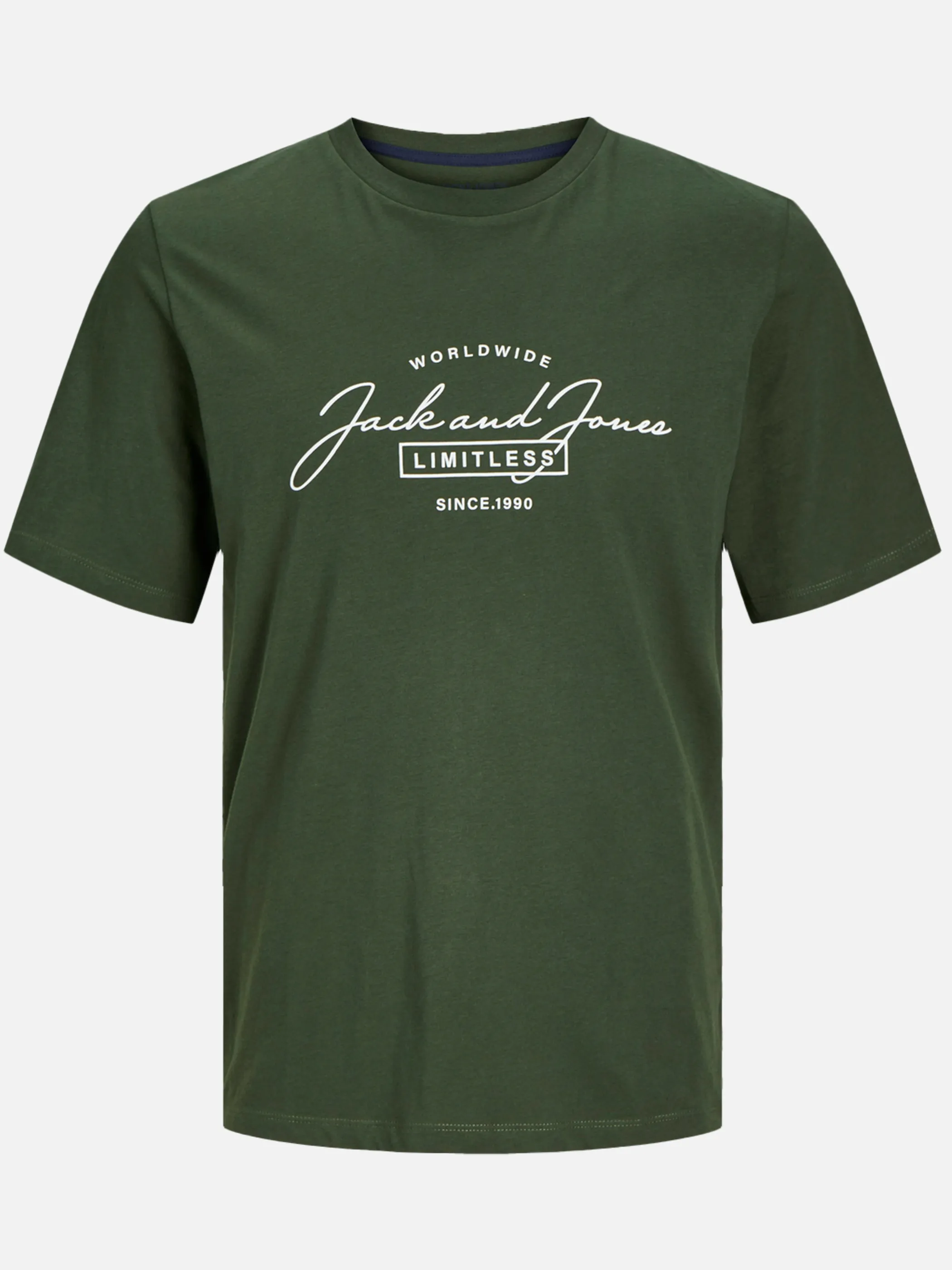 Jack Jones 12256799 JJFERRIS TEE SS CREW Grün 896597 176344002 1