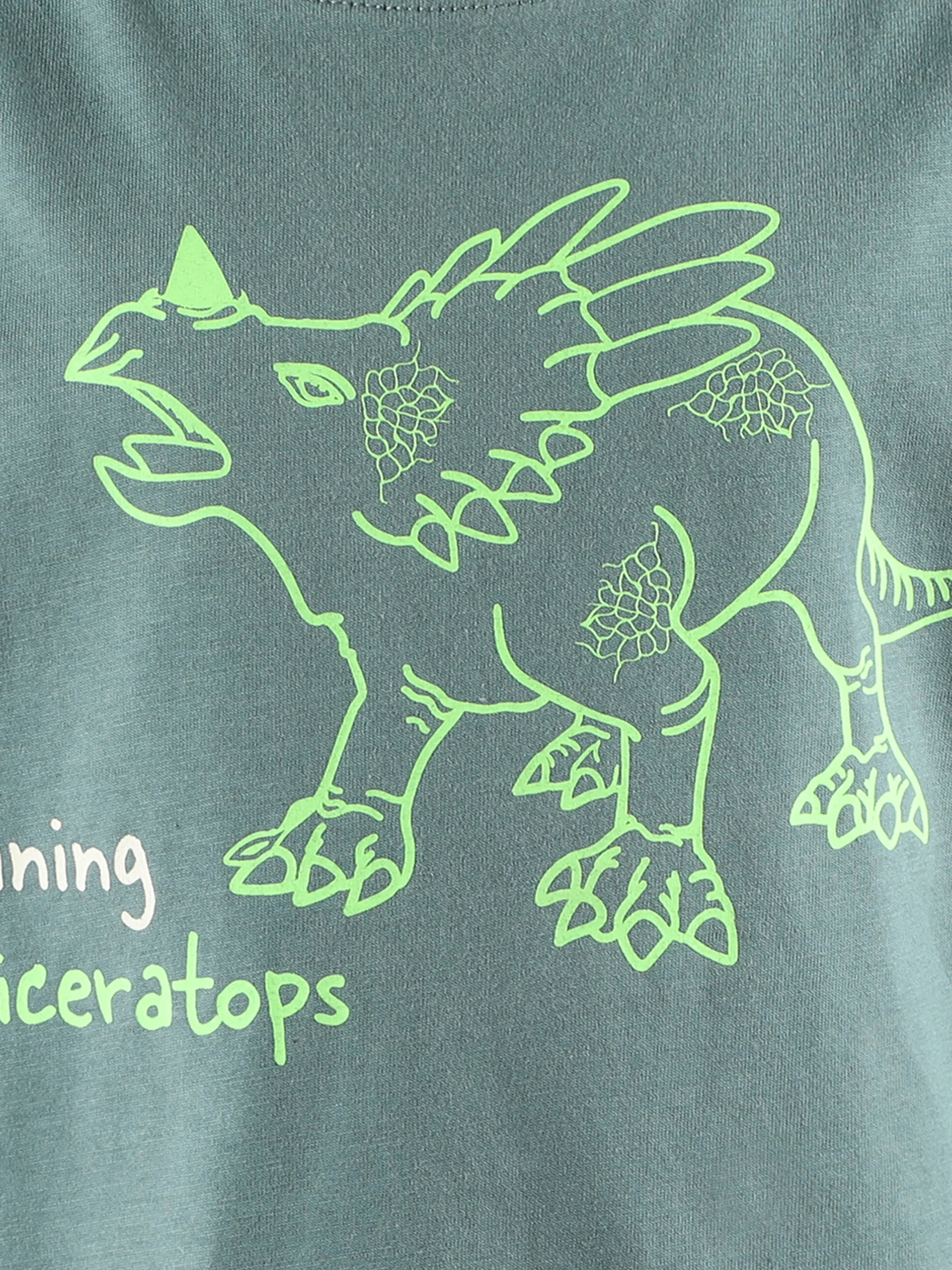 Stop + Go KJ T-Shirt mit glow in the dark Dinoprint in grün Grün 890222 DUNKELGRÜN 3