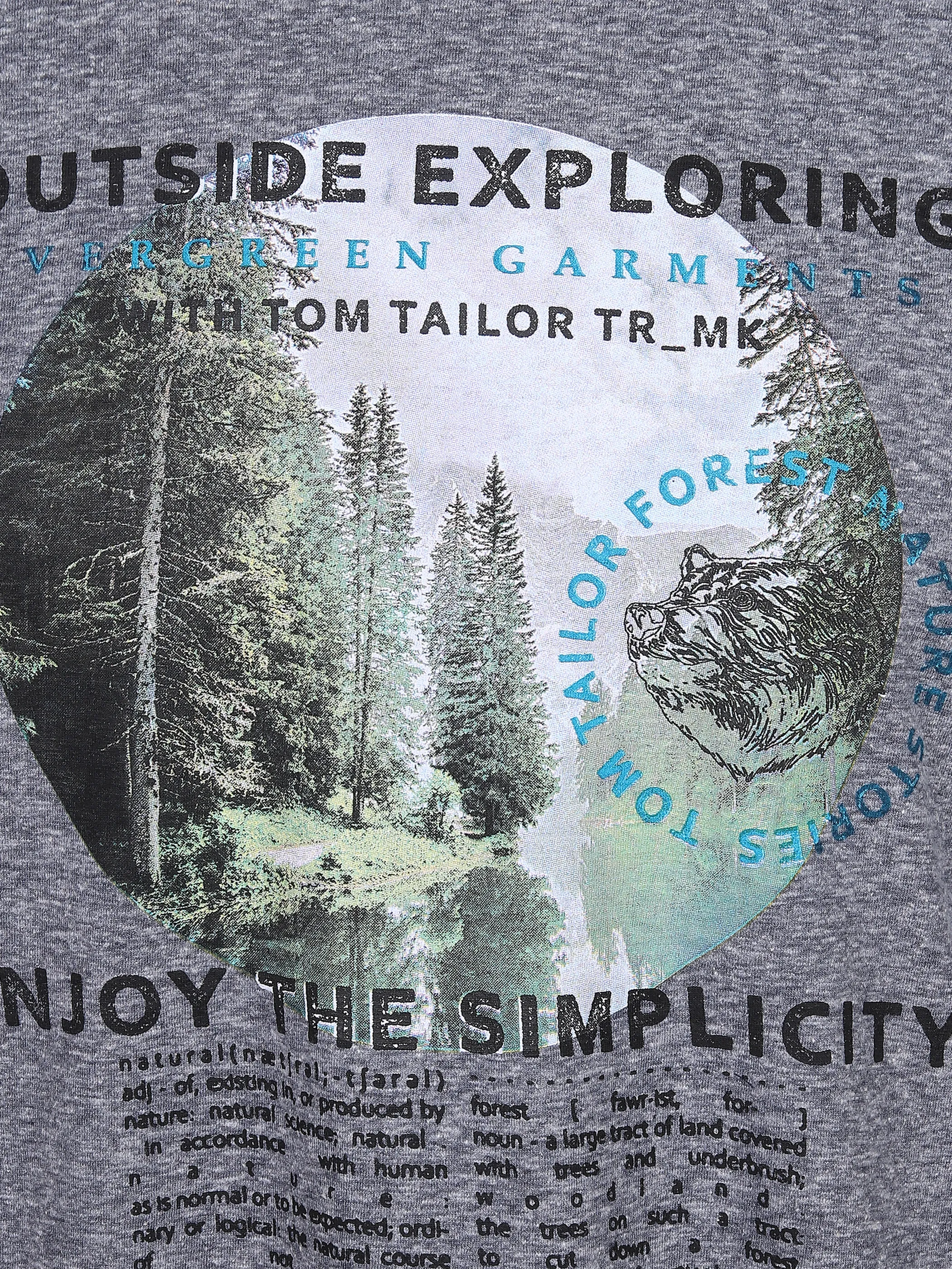 Tom Tailor 1032991 photoprint t-shirt Blau 869534 30397 3