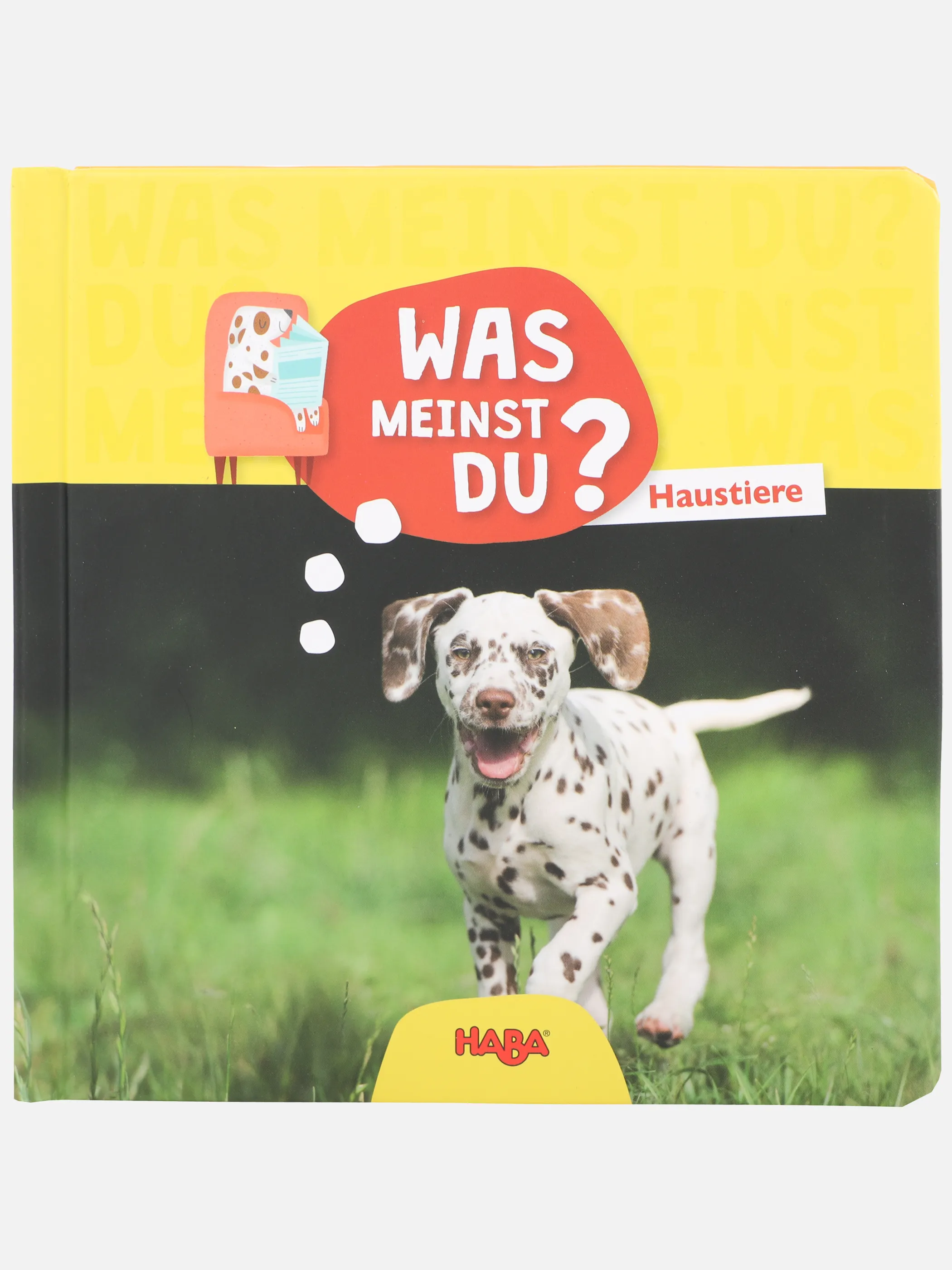 Bücher Kleinkinder Buch Was meinst Du Bunt 898525 BUNT1 1