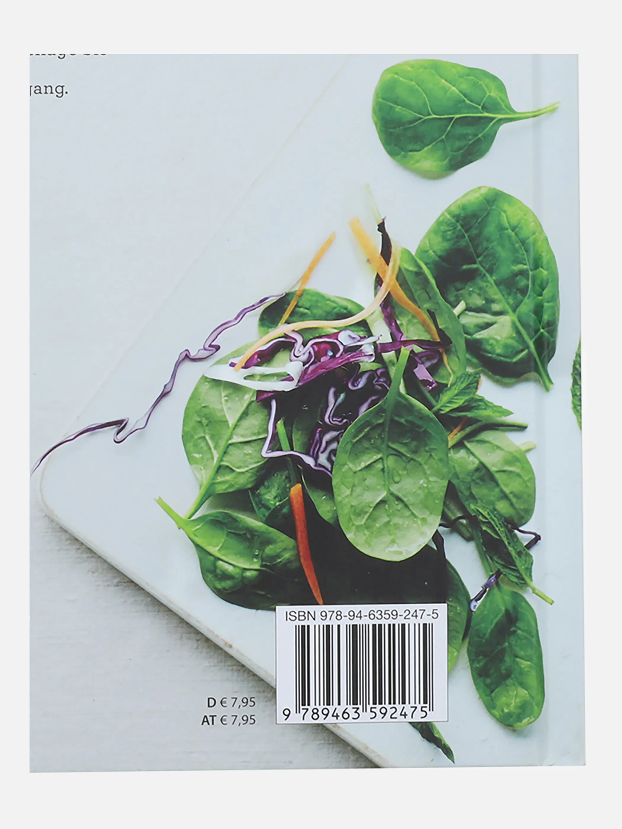 Bücher Kochbuch Salate bunt & gesund Weiß 865649 SONSTIGE 2