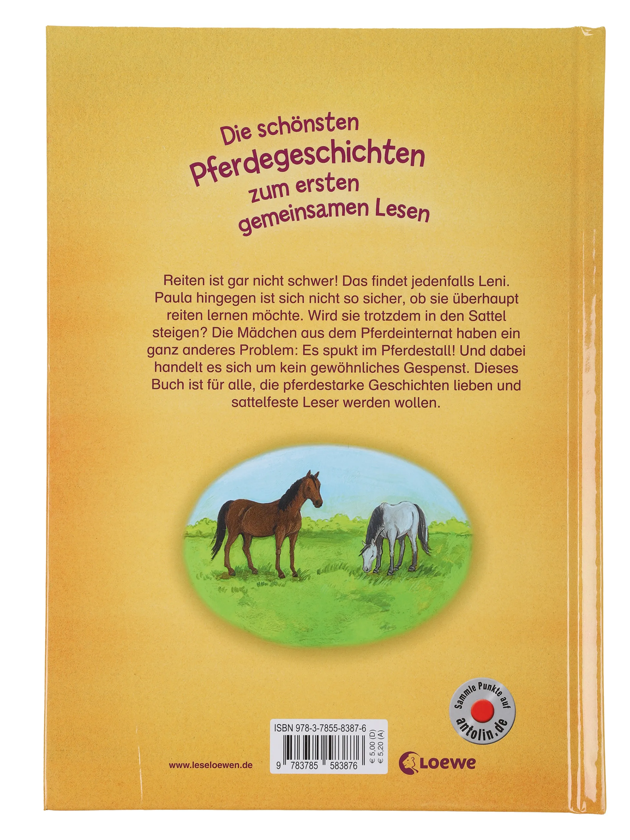 Bücher Die schönsten Pferdegeschichte Weiß 867697 SONSTIGE 2