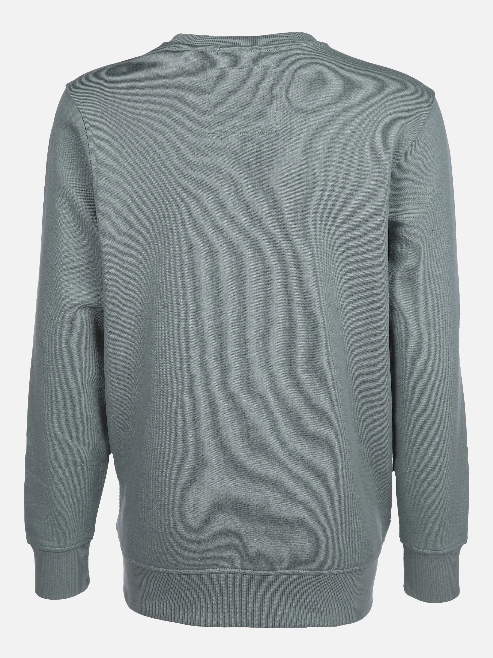Tom Tailor 1030406 printed sweatshirt Grün 860530 12960 2 Tom Tailor 1030406 printed sweatshirt Grün 860530 12960 2