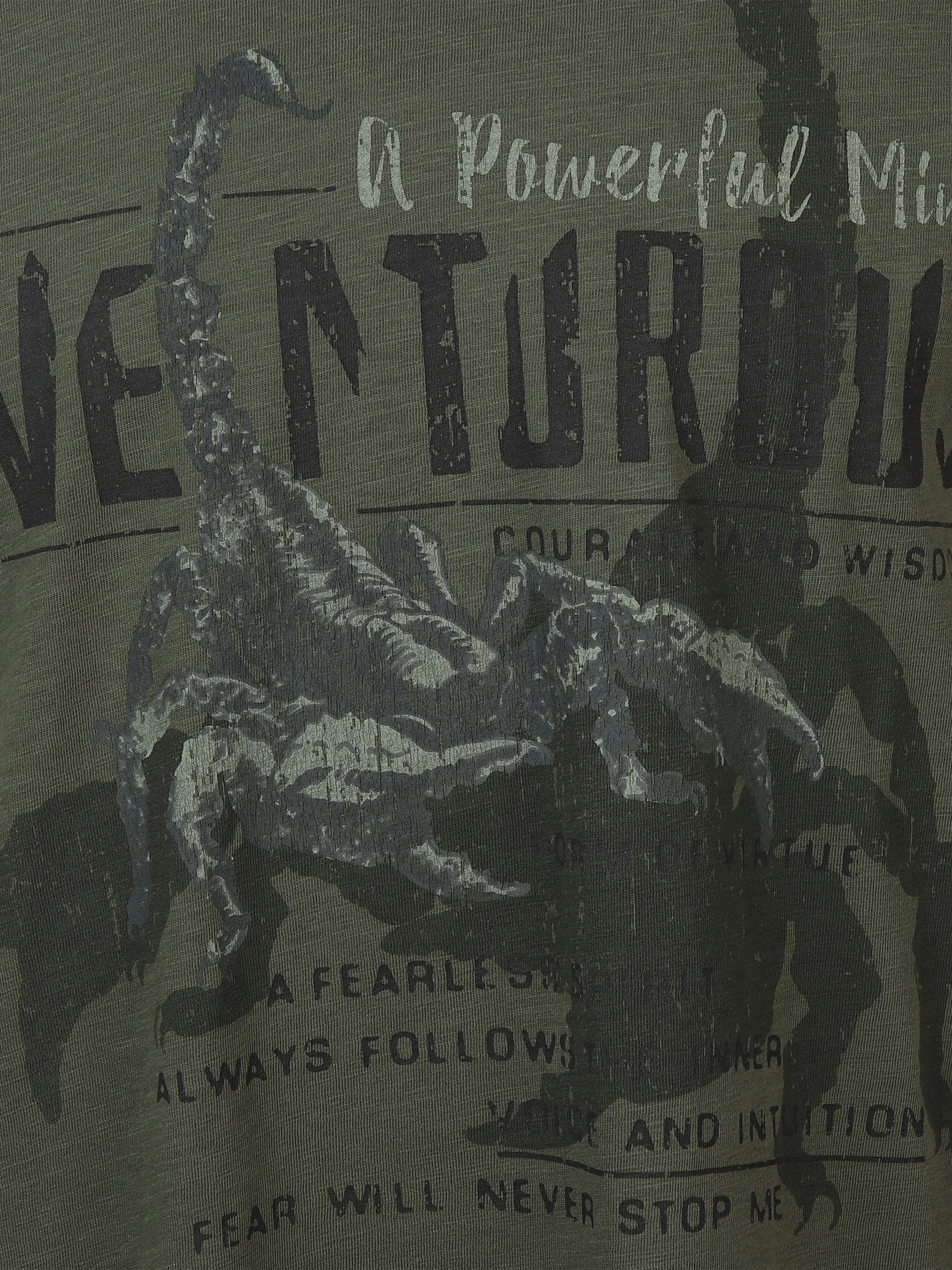 Southern Territory He. T-Shirt 1/2 Arm washer print Grün 878481 OLIVE 3 Southern Territory He. T-Shirt 1/2 Arm washer print Grün 878481 OLIVE 3