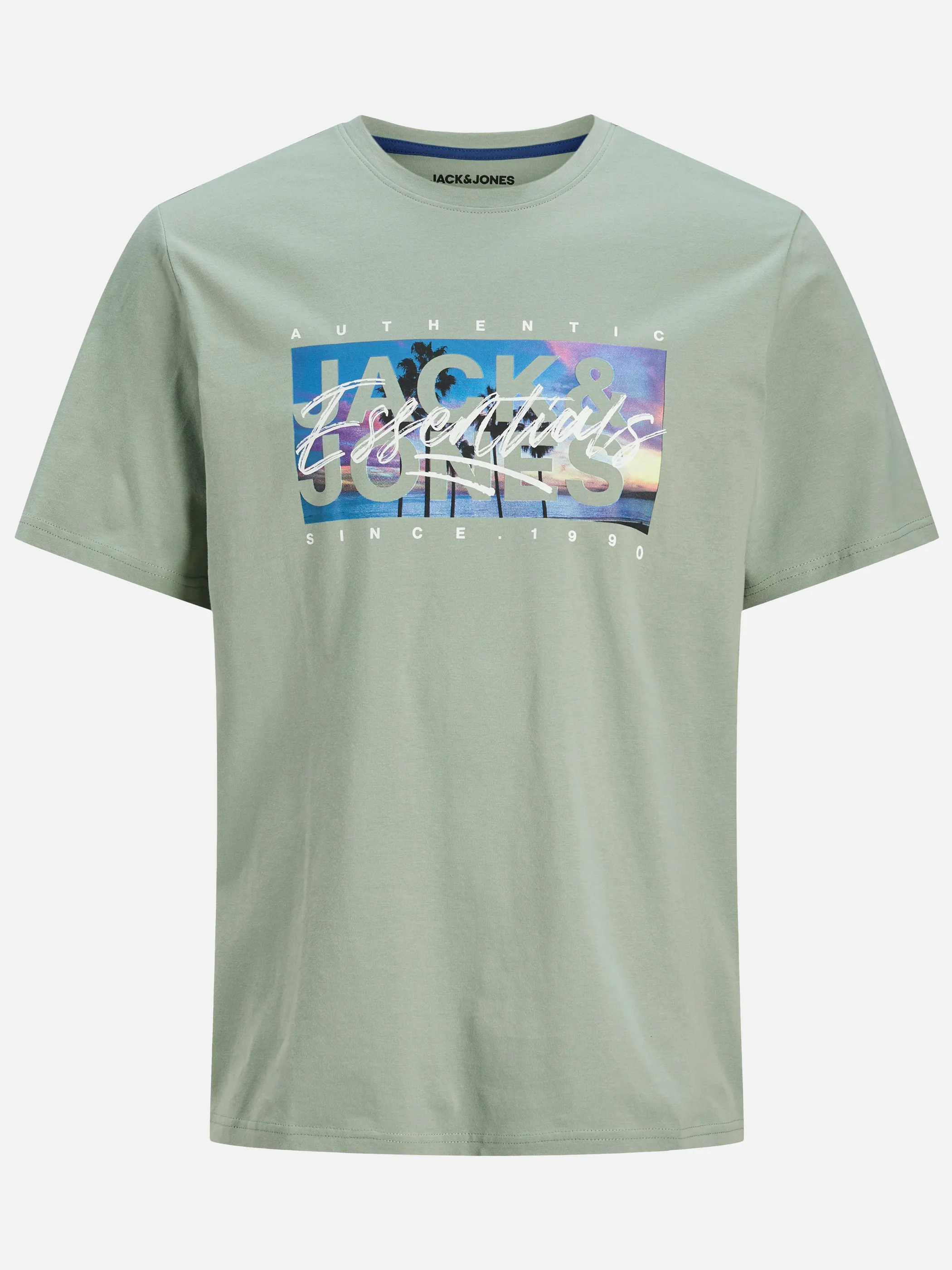 Jack&Jones Junior 12269809 JJCOLTON PHOTOPRINT T Grün 907285 176366 1