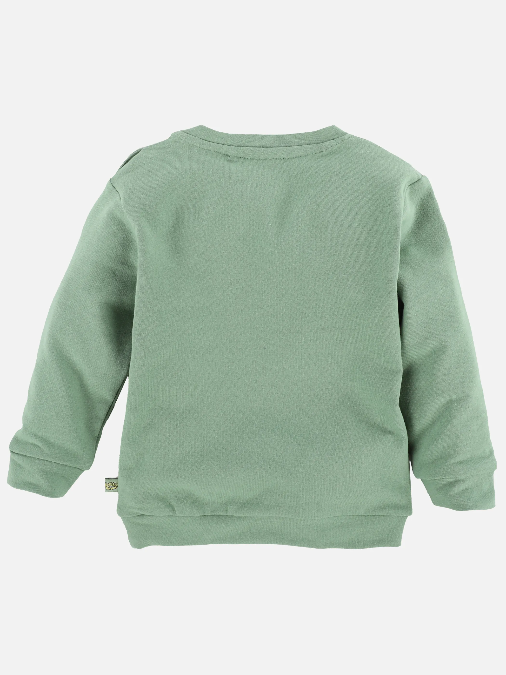 Bubble Gum BJ Sweatshirt mit Print und Applikationen in grün Grün 889933 GRÜN 2