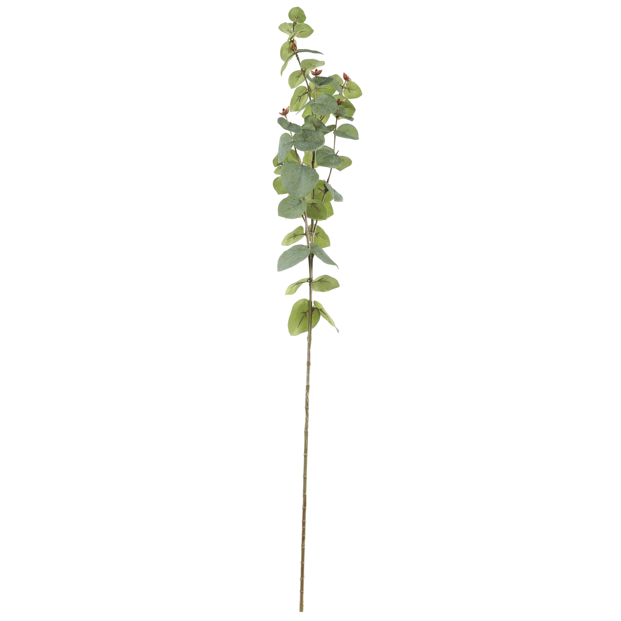 Deko Artikel Dekozweig Eukalyptus Grün 886160 GRÜN 1
