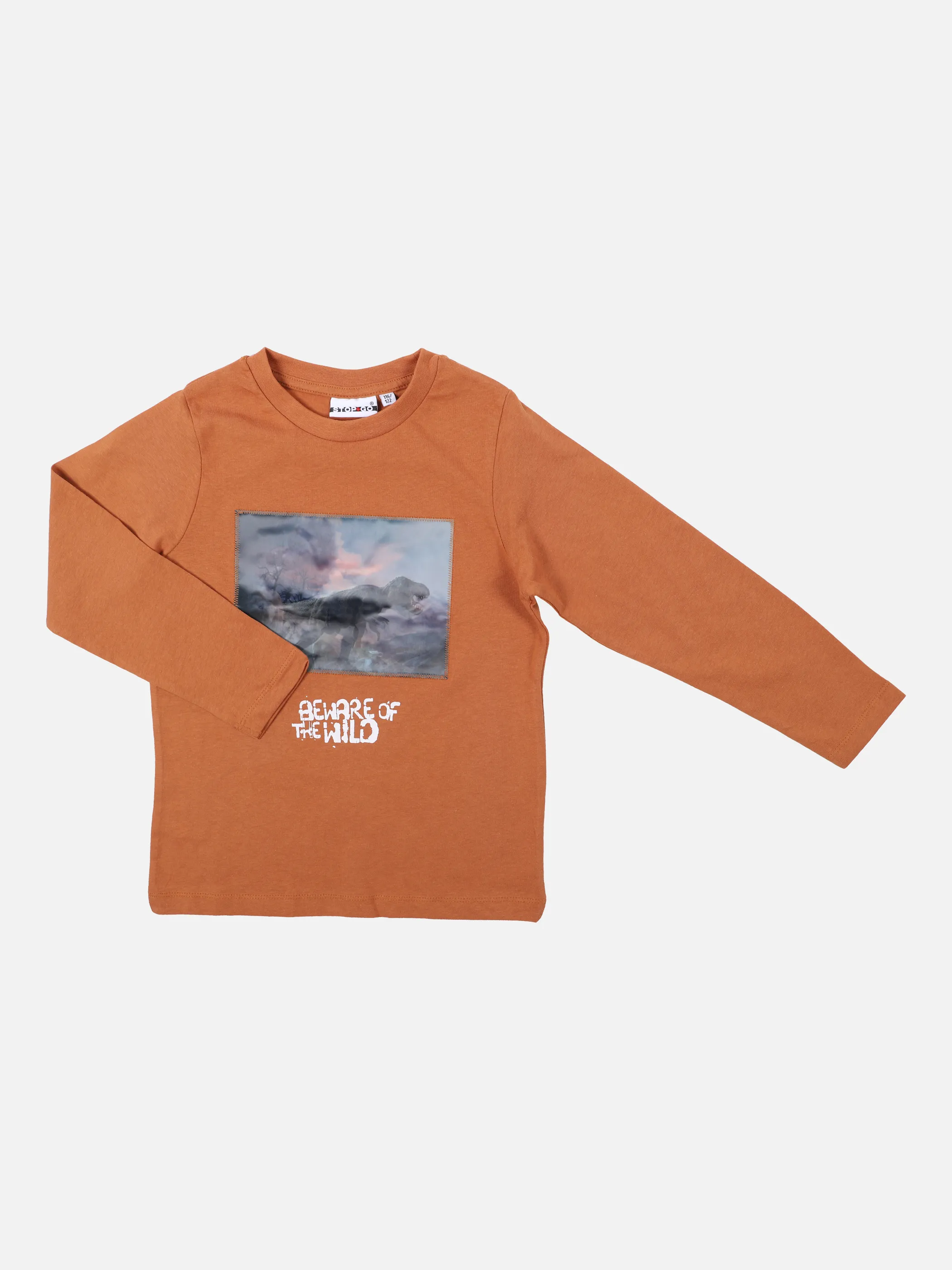 Stop + Go MB Longsleeve Shirt in terra- Braun 857676 TERRACOTTA 1 Stop + Go MB Longsleeve Shirt in terra- Braun 857676 TERRACOTTA 1